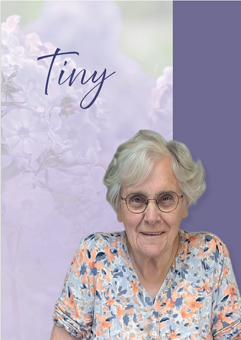 Tiny Holsappel-Post
