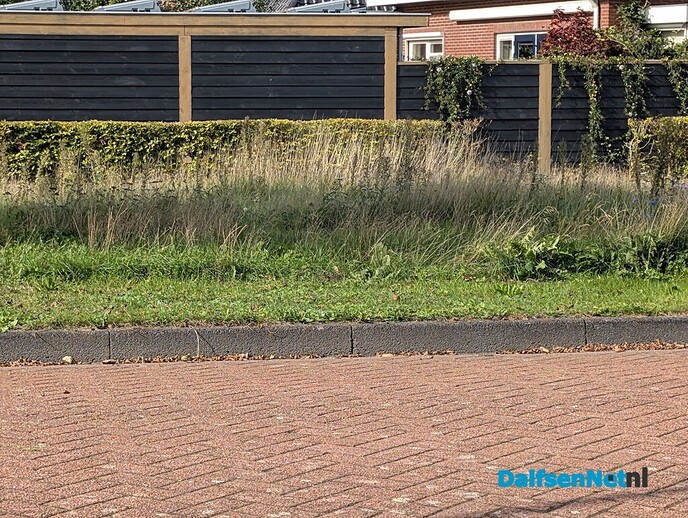 Vergroening - Foto: Ingezonden foto