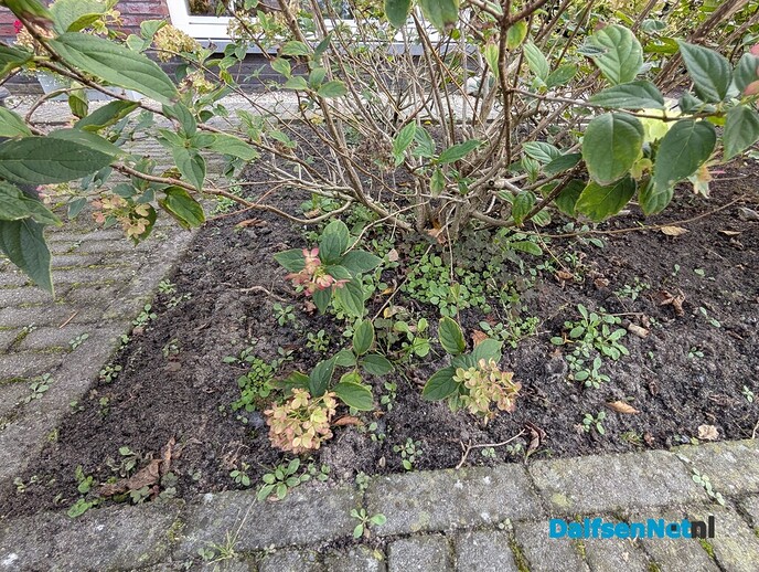 Vergroening - Foto: Ingezonden foto