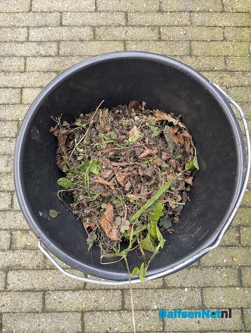 Vergroening - Foto: Ingezonden foto
