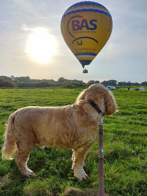 Ook Xem vond de luchtballon mooi - Foto: Ingezonden foto