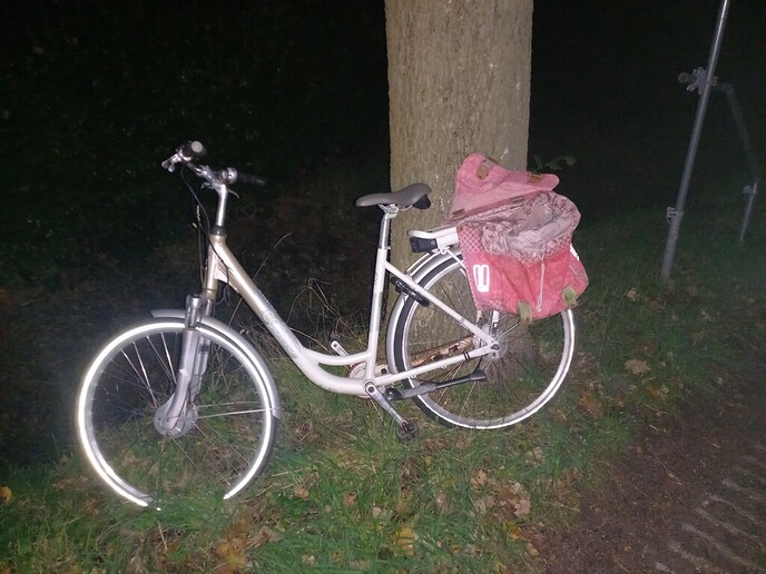 Elektrische damesfiets ontdekt - Foto: Eigen geleverde foto