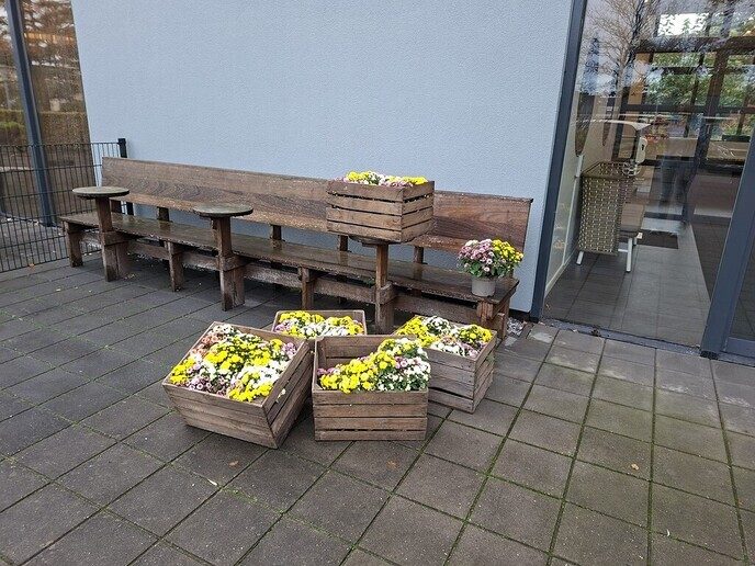 De Hulstkampen bedankt voor prachtige planten - Foto: Ingezonden foto