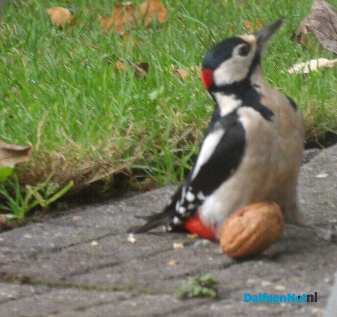 De herfstvakantie is dan wel voorbij - Foto: Willy