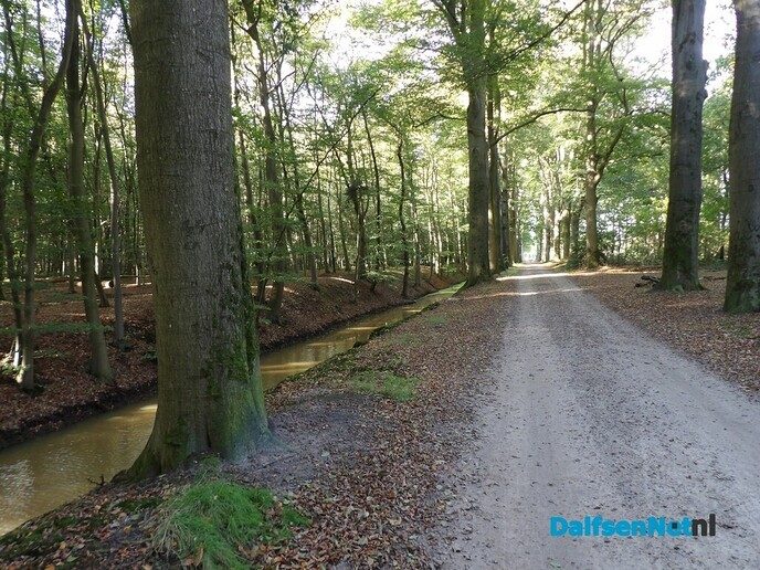De herfstvakantie is dan wel voorbij - Foto: Willy