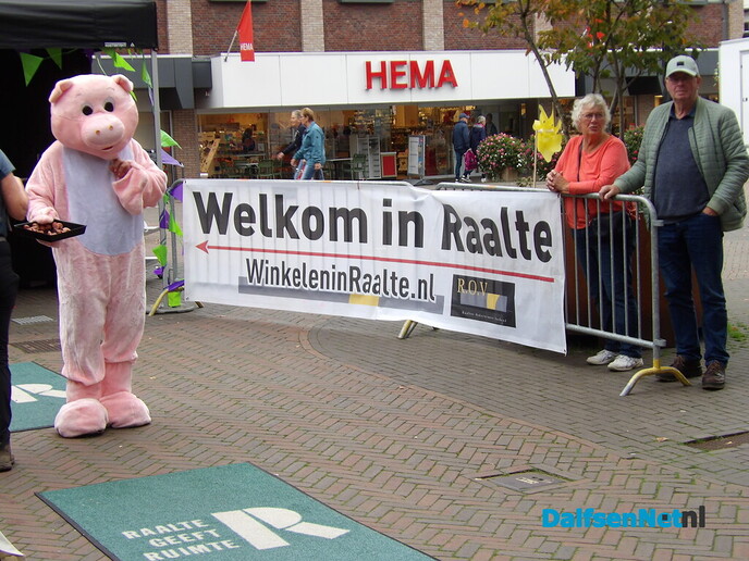 Prachtige slotdag van de Sallandse Wandelvierdaagse in Raalte - Foto: Willy