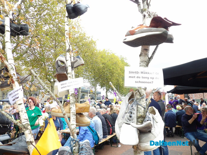 Prachtige slotdag van de Sallandse Wandelvierdaagse in Raalte - Foto: Willy