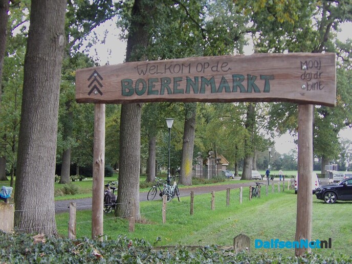 Maandmarkt Vilsteren: donkere wolken in de verte en een verrassende boom - Foto: Willy