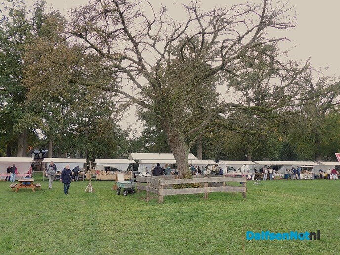 Maandmarkt Vilsteren: donkere wolken in de verte en een verrassende boom - Foto: Willy