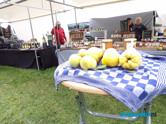 Maandmarkt Vilsteren: donkere wolken in de verte en een verrassende boom - Foto: Willy