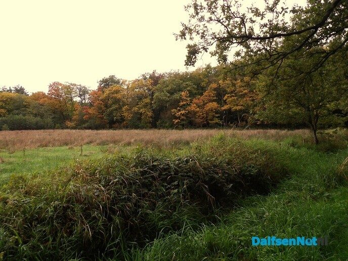 De herfstvakantie is dan wel voorbij - Foto: Willy