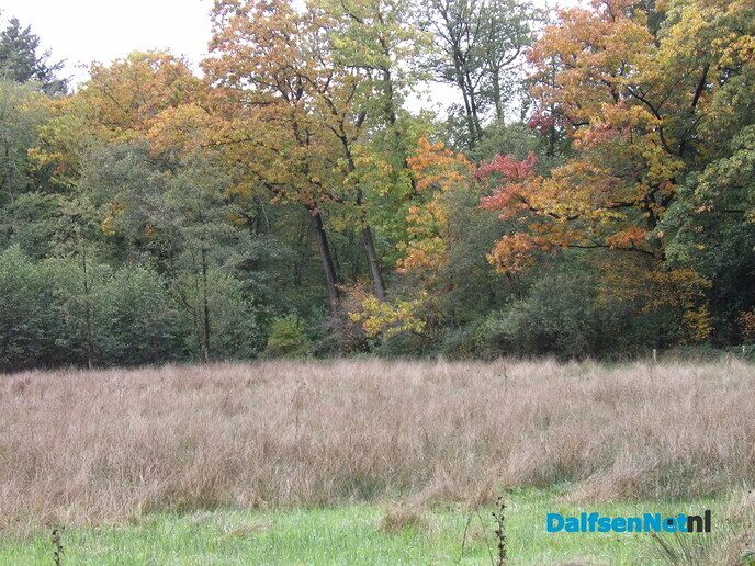 De herfstvakantie is dan wel voorbij - Foto: Willy