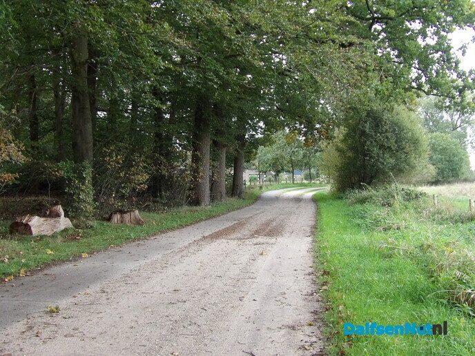 De herfstvakantie is dan wel voorbij - Foto: Willy