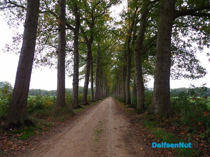 De herfstvakantie is dan wel voorbij - Foto: Willy