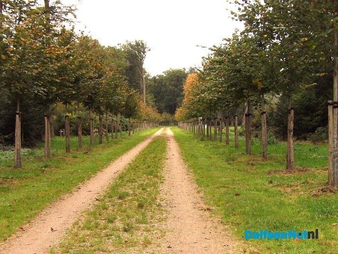 De herfstvakantie is dan wel voorbij - Foto: Willy