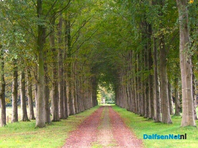 De herfstvakantie is dan wel voorbij - Foto: Willy
