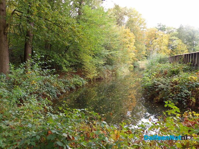 Herfst op Den Berg, de natuur op haar sterkst - Foto: Willy