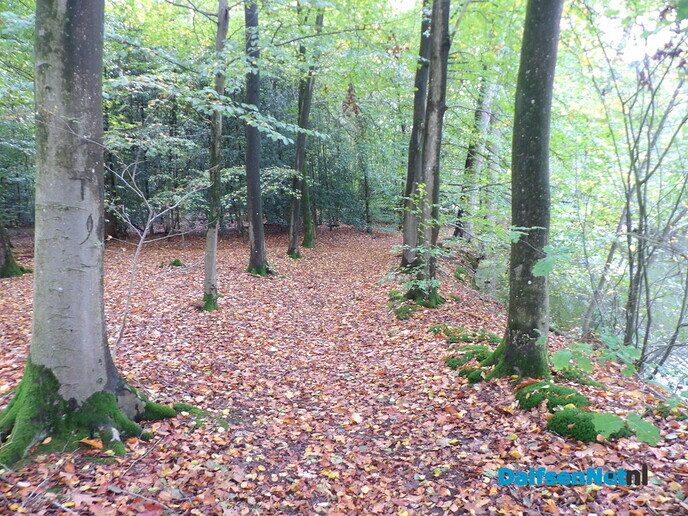 Herfst op Den Berg, de natuur op haar sterkst - Foto: Willy