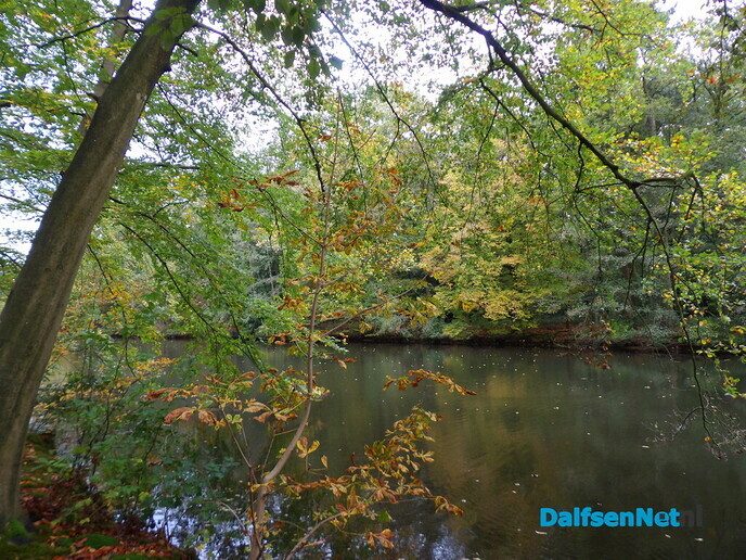 Herfst op Den Berg, de natuur op haar sterkst - Foto: Willy