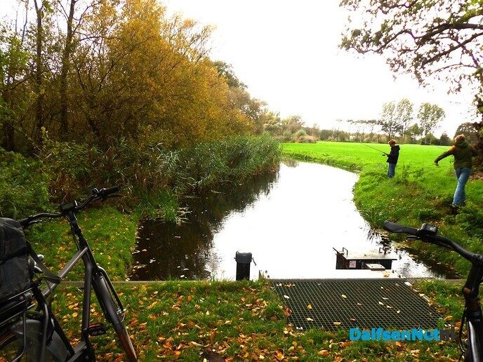 Herfst op Den Berg, de natuur op haar sterkst - Foto: Willy