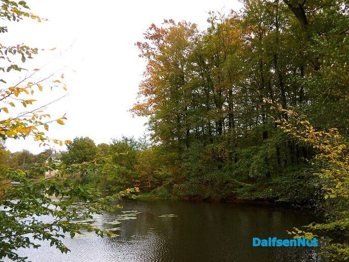 Herfst op Den Berg, de natuur op haar sterkst - Foto: Willy