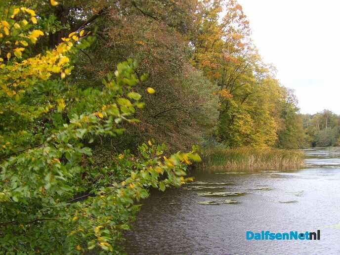 Herfst op Den Berg, de natuur op haar sterkst - Foto: Willy