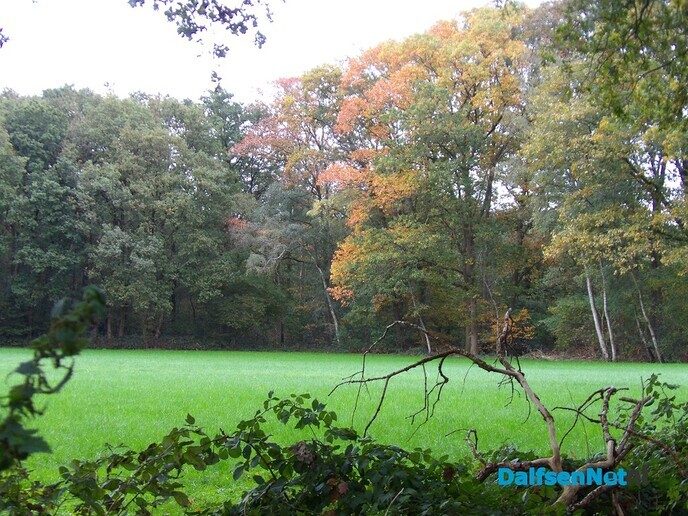 Herfst op Den Berg, de natuur op haar sterkst - Foto: Willy