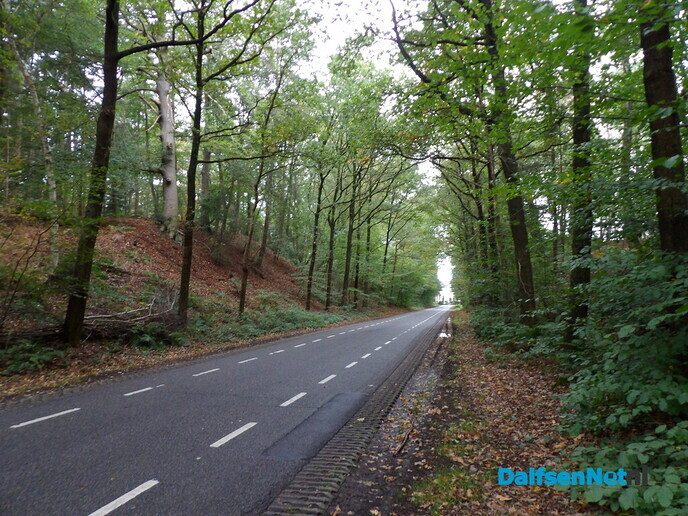 Herfst op Den Berg, de natuur op haar sterkst - Foto: Willy