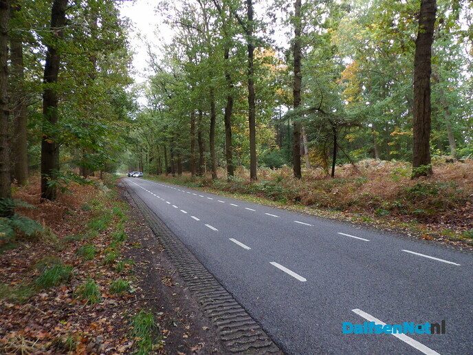 Herfst op Den Berg, de natuur op haar sterkst - Foto: Willy
