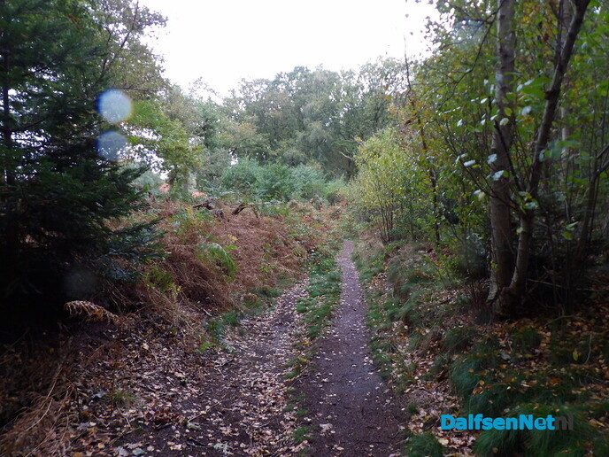 Herfst op Den Berg, de natuur op haar sterkst - Foto: Willy