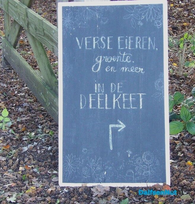 Een rondje Hessum vol herfstkleuren en verrassingen - Foto: Willy