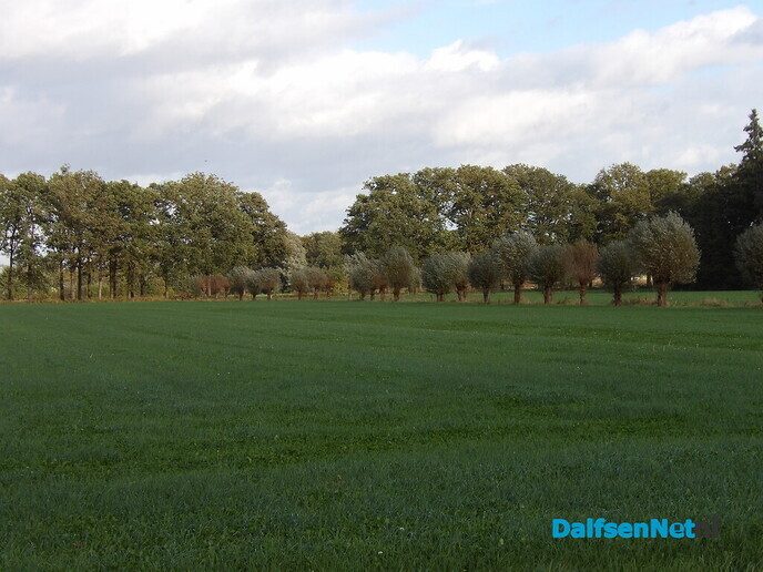 Een rondje Hessum vol herfstkleuren en verrassingen - Foto: Willy