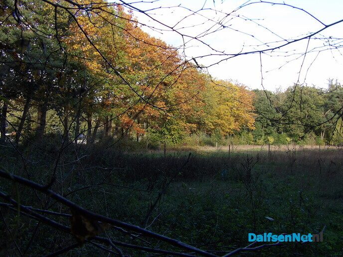 Een rondje Hessum vol herfstkleuren en verrassingen - Foto: Willy