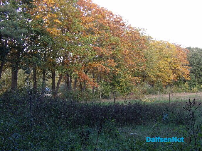 Een rondje Hessum vol herfstkleuren en verrassingen - Foto: Willy
