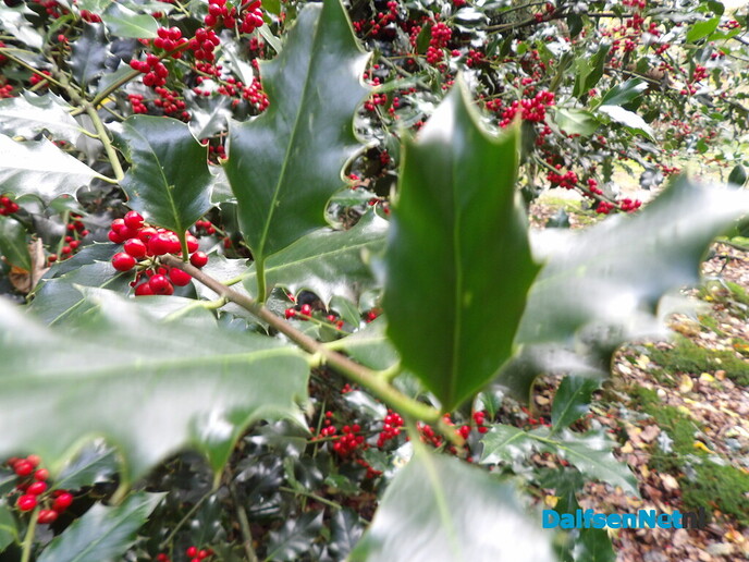 Nog maar even weer de natuur in - Foto: Willy
