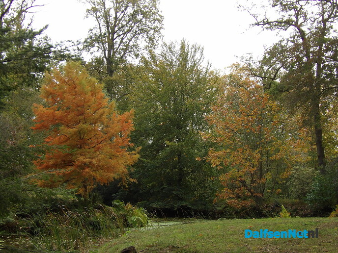 Nog maar even weer de natuur in - Foto: Willy