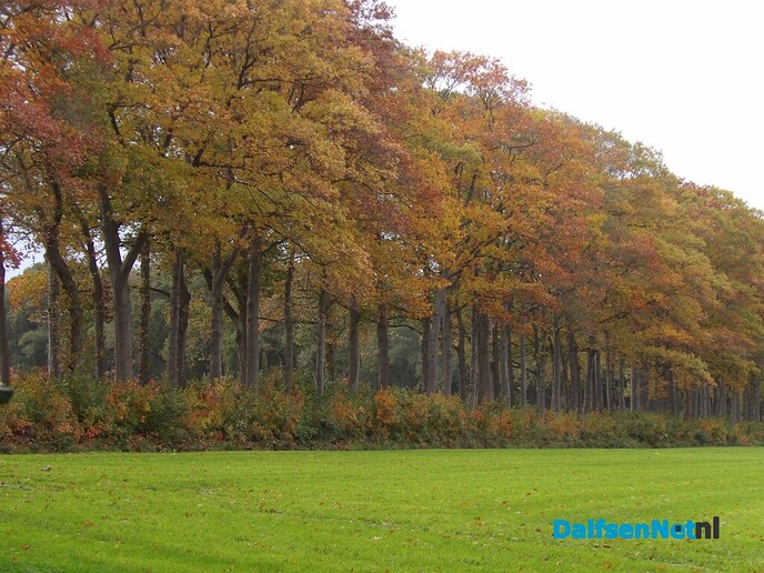 Nog maar even weer de natuur in - Foto: Willy