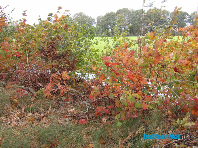 Nog maar even weer de natuur in - Foto: Willy