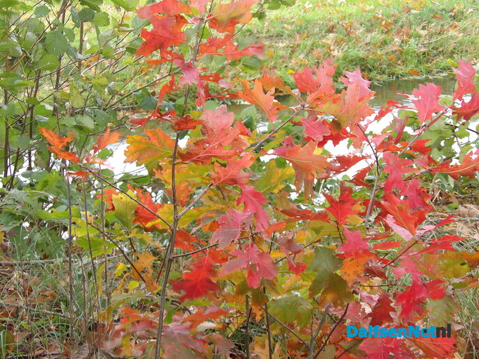 Nog maar even weer de natuur in - Foto: Willy