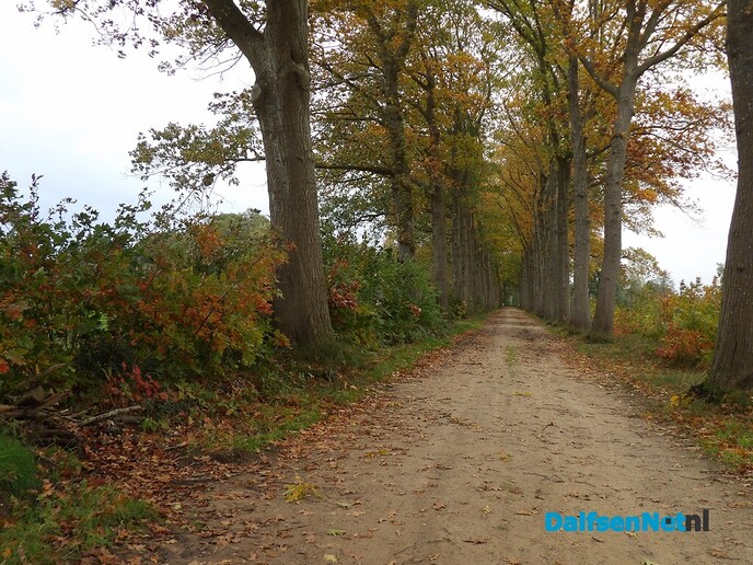 Nog maar even weer de natuur in - Foto: Willy