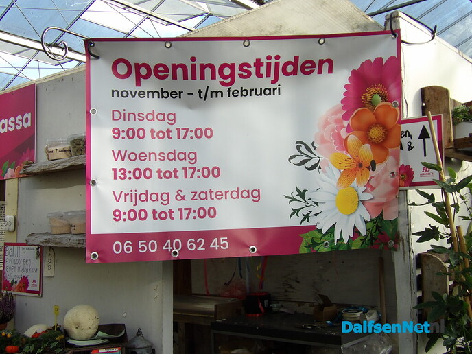 Antons Bloemkwekerij: een kleurrijk bedrijf met een hart voor bloemen en mensen - Foto: Willy