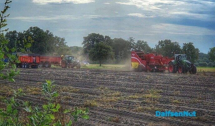 Aardappels rooien aan de Wethouder Bijkersweg - Foto: Femmie Smink