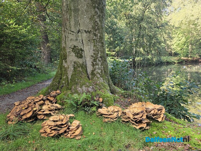 Verpozen rond den Alerdinck - Foto: Ingezonden foto