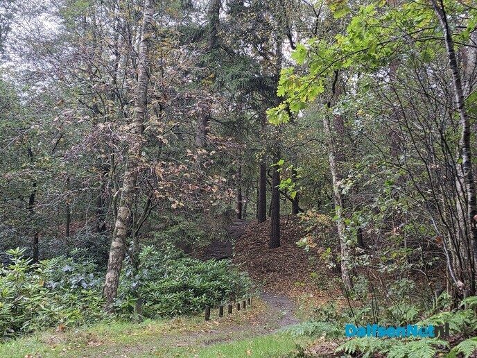 On weer en honde weer - Foto: Jennie Kanis