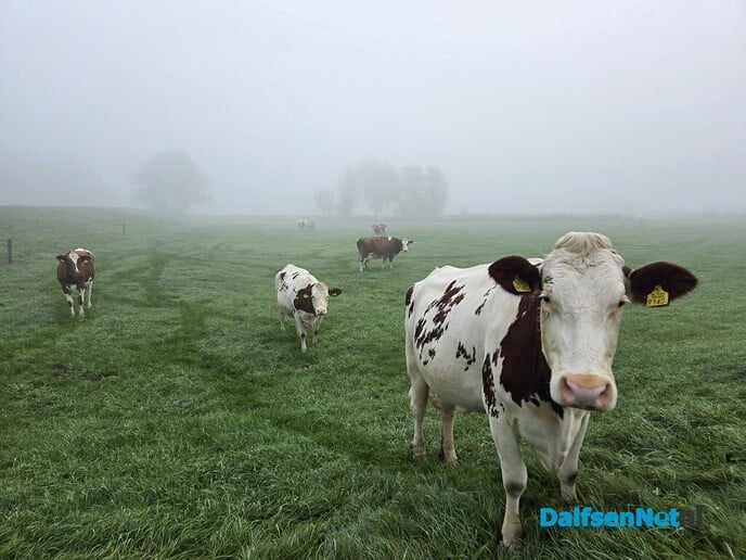 Mooi wereldje - Foto: Ingezonden foto