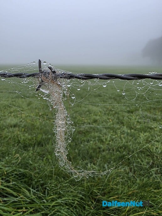 Mooi wereldje - Foto: Ingezonden foto