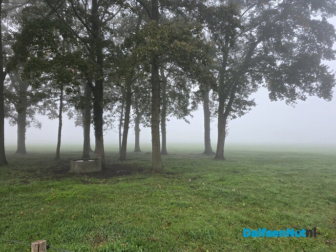 Mooi wereldje - Foto: Ingezonden foto