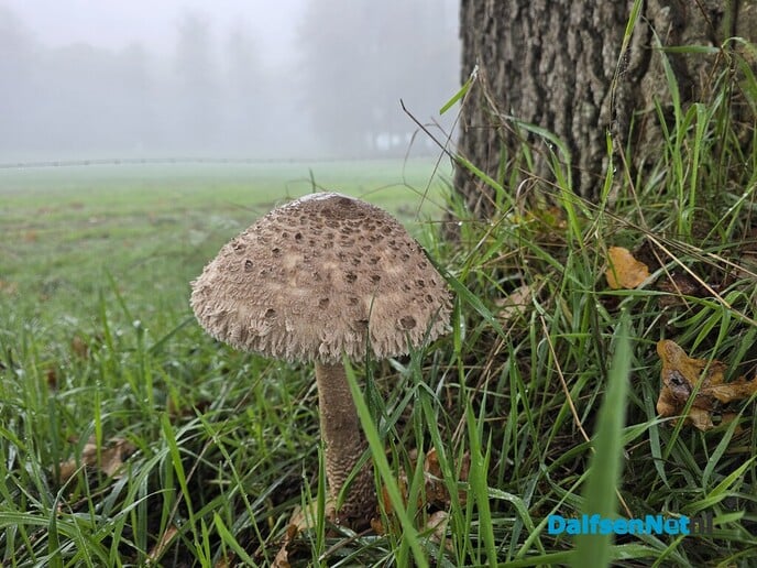Mooi wereldje - Foto: Ingezonden foto