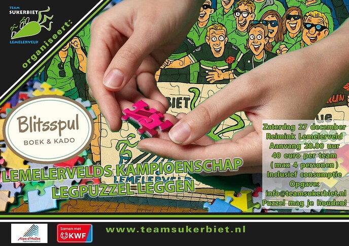Puzzelen in Lemelerveld