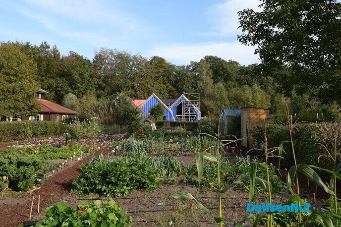 De jaarlijkse Roefeldag: een geweldig succes! - Foto: Johan Bokma